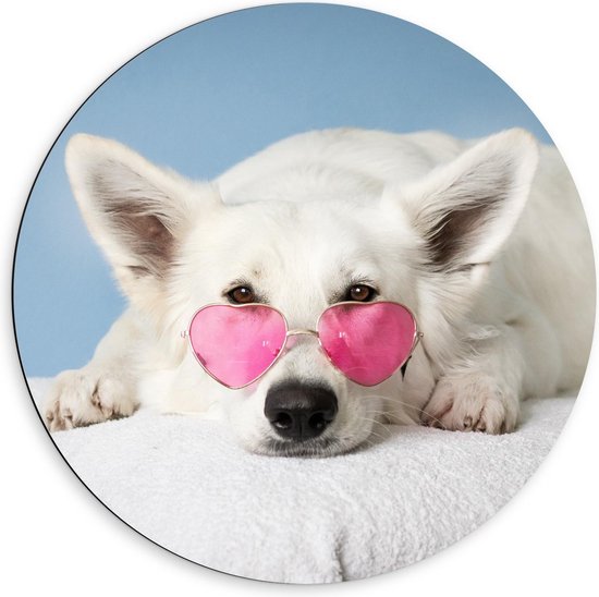 Dibond Wandcirkel - Liggende Hond met Roze Bril - 60x60cm Foto op Aluminium Wandcirkel (met ophangsysteem)