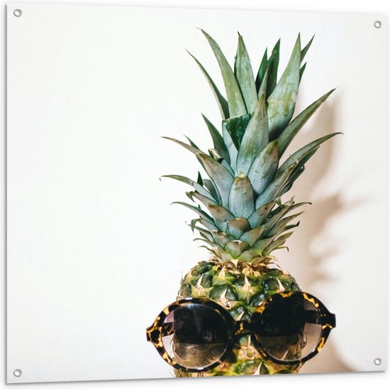 Tuinposter – Ananas met Hippe Zonnebril - 100x100cm Foto op Tuinposter  (wanddecoratie voor buiten en binnen)