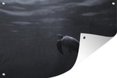 Muurdecoratie Schildpad onder water in zwart-wit - 180x120 cm - Tuinposter - Tuindoek - Buitenposter