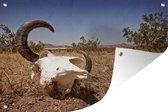 Muurdecoratie Stierenschedel in woestijn - 180x120 cm - Tuinposter - Tuindoek - Buitenposter