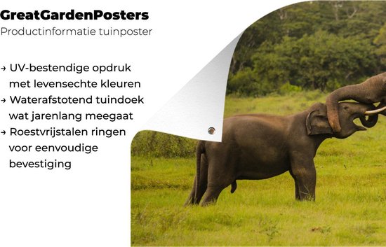 Décoration de jardin Deux éléphants combattants - 60x40 cm - Poster jardin - Toile jardin - Poster extérieur