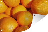 Tuinposters buiten Fruit - Sinaasappel - Oranje - 90x60 cm - Tuindoek - Buitenposter