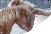 Muurdecoratie Paarden - Veulen - Sneeuw - 180x120 cm - Tuinposter - Tuindoek - Buitenposter
