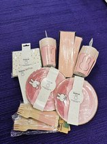 Nijntje partypakket roze voor een babyshower of geboortefeest zonder afwas voor 16 personen met bordjes, bekertjes, rietjes, kaasprikkers, vorkjes, servetten