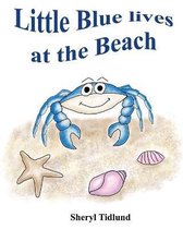 Little Blue lives at the Beach