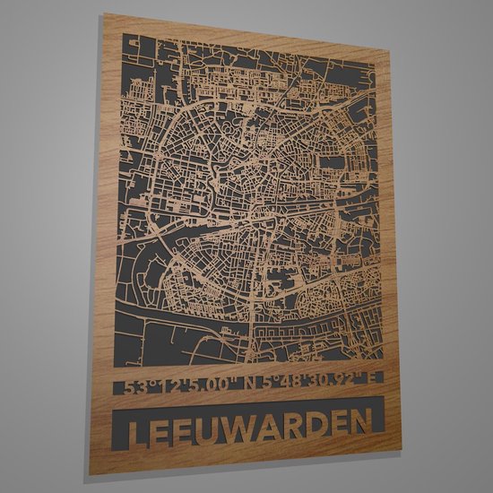 Stadskaart Leeuwarden met coördinaten