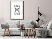 Poster - Butterfly Collection IV-20x30