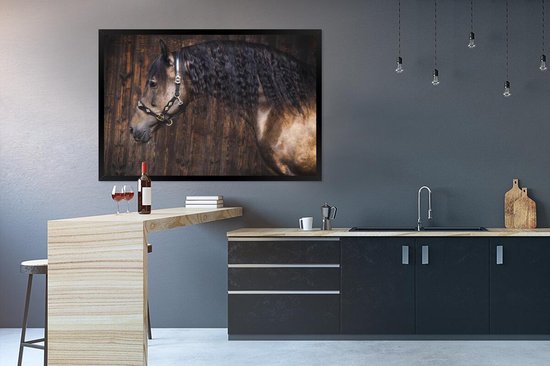 Cheval andalou devant un cadre photo fond en bois noir sans passe partout