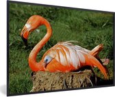 Fotolijst incl. Poster - Flamingo die haar kuiken onder haar vleugel beschermd - 30x20 cm - Posterlijst