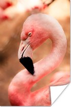 Poster Portret van een roze flamingo - 120x180 cm XXL