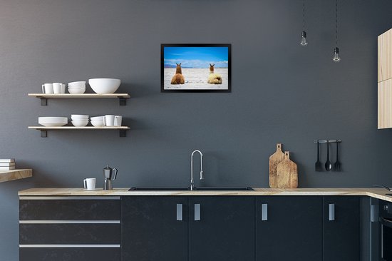 Photo en cadre - Lamas au repos sur un cadre photo uni sable noir sans passe-partout 30x20 cm - Affiche sous cadre (Décoration murale salon / chambre)