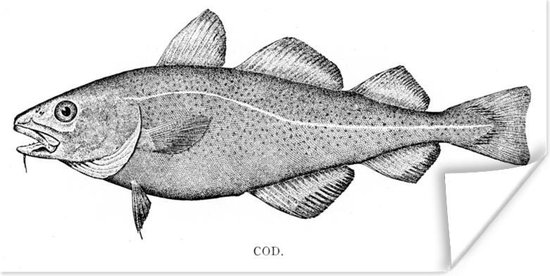 Poster - illustratie van een vis - 80x40 cm | bol.com