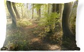 Buitenkussens - Tuin - Een bospad verlicht door de zon - 60x40 cm