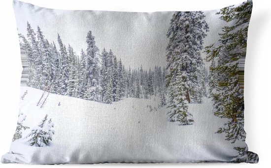Buitenkussens - Tuin - De bomen die op een besneeuwd bosgebied groeien - 50x30 cm