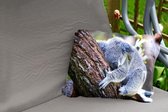 Buitenkussens - Tuin - Een koala op een boomstam - 60x40 cm