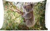 Buitenkussens - Tuin - Een koala in een boom met groene bladeren - 50x30 cm