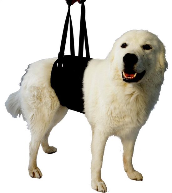 Loophulp hond Gr.XL achter (760659) - B.V