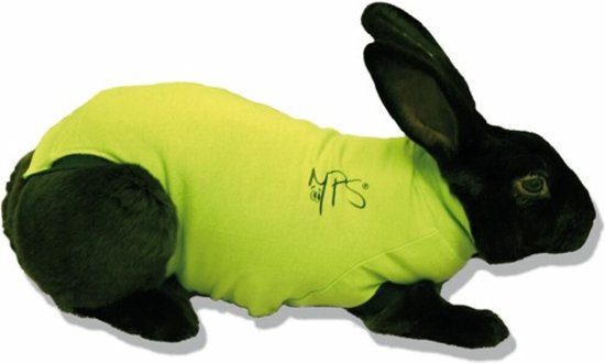 Medical Pet Shirt Konijn - M