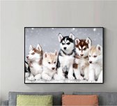 Diamond Painting Husky 40x60 cm (zonder lijst)