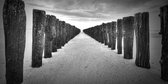 Tuinposter - Zee / Water - Strand in wit / grijs / zwart - 120 x 240 cm