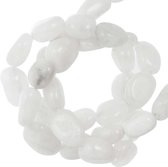 Natuursteen Kralen Regenboog Maansteen (6 - 10 x 4 - 6 mm) 54 stuks