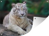 Tuin decoratie Witte tijger - Boomstam - Bos - 40x30 cm - Tuindoek - Buitenposter