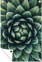 Tuinposter - Tuindoek - Tuinposters buiten - Close-up van vetplant met gestreepte bladeren - 80x120 cm - Tuin