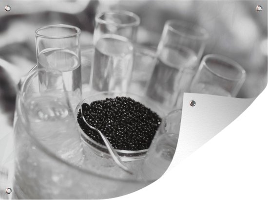 Vodka en Verres au caviar Affiche de jardin 160x120 cm - Toile de jardin / Toile d'extérieur / Peintures d'extérieur (décoration de jardin) XXL / Groot format!