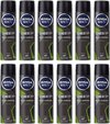 NIVEA MEN Deep Amazonia Deodorant Spray / Anti Transpirant - JUMBOPAK - 12 x 150 ml