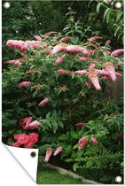 Tuindecoratie Roze vlinderstruik in een tuin - 40x60 cm - Tuinposter - Tuindoek - Buitenposter