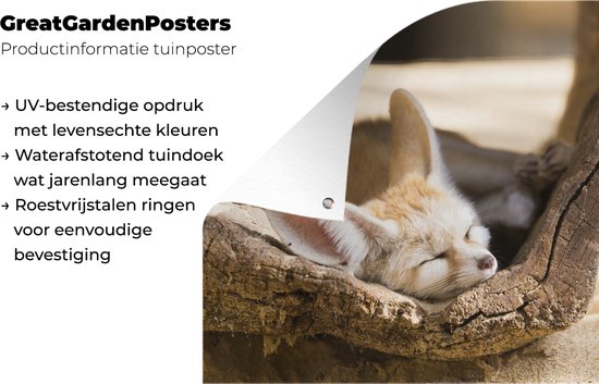 Tuinposter 120x80 cm - Tuindecoratie Woestijnvos slaapt in holle boomstam - Poster voor in de tuin - Buiten decoratie - Schutting tuinschilderij - Tuindoek muurdecoratie - Wanddecoratie balkondoek