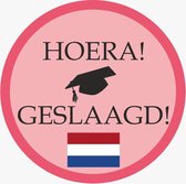 LBM Hoera geslaagd raamsticker - 45 x 45 cm - roze