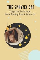 The Sphynx Cat_ Things You Should Know Before Bringing Home A Sphynx Cat