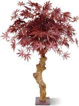 Maxifleur Kunstplanten - Kunst Acer - Kunst Bonsai - Op stam - 85 cm - Burgundy - Niet van echt te onderscheiden!