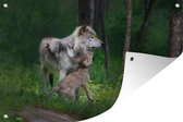 Tuindecoratie Wolf - Baby - Bos - 60x40 cm - Tuinposter - Tuindoek - Buitenposter