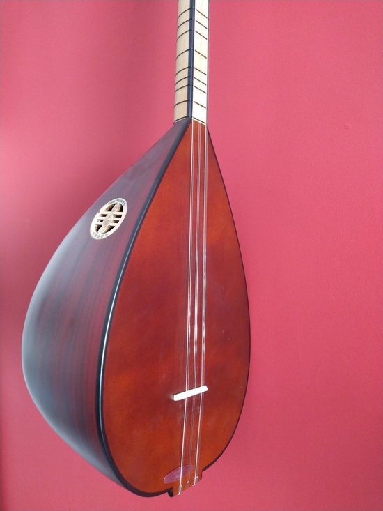 Saz Turkse gitaar Bağlama korte hals | bol.com