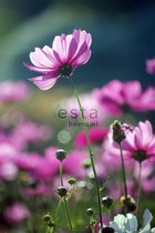 ESTAhome fotobehang veldbloemen roze - 158005 - 186 cm x 279 m