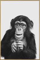 JUNIQE - Poster met kunststof lijst Chimpanzee II -30x45 /Grijs &