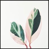 JUNIQE - Poster met kunststof lijst Pink Leaves -20x20 /Grijs & Groen