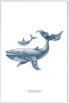 JUNIQE - Poster in kunststof lijst Humpback Whale II -40x60 /Blauw