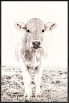 JUNIQE - Poster met kunststof lijst Blonde Cattle Maverick -13x18