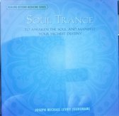 Soul Trance / Healing Beyond Medicine Series (Joseph Michael Levry / Gurunam)