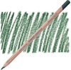 Crayon résistant à la lumière Derwent - Vert montagne LFII