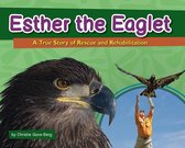 Wildlife Rescue Stories - Esther the Eaglet