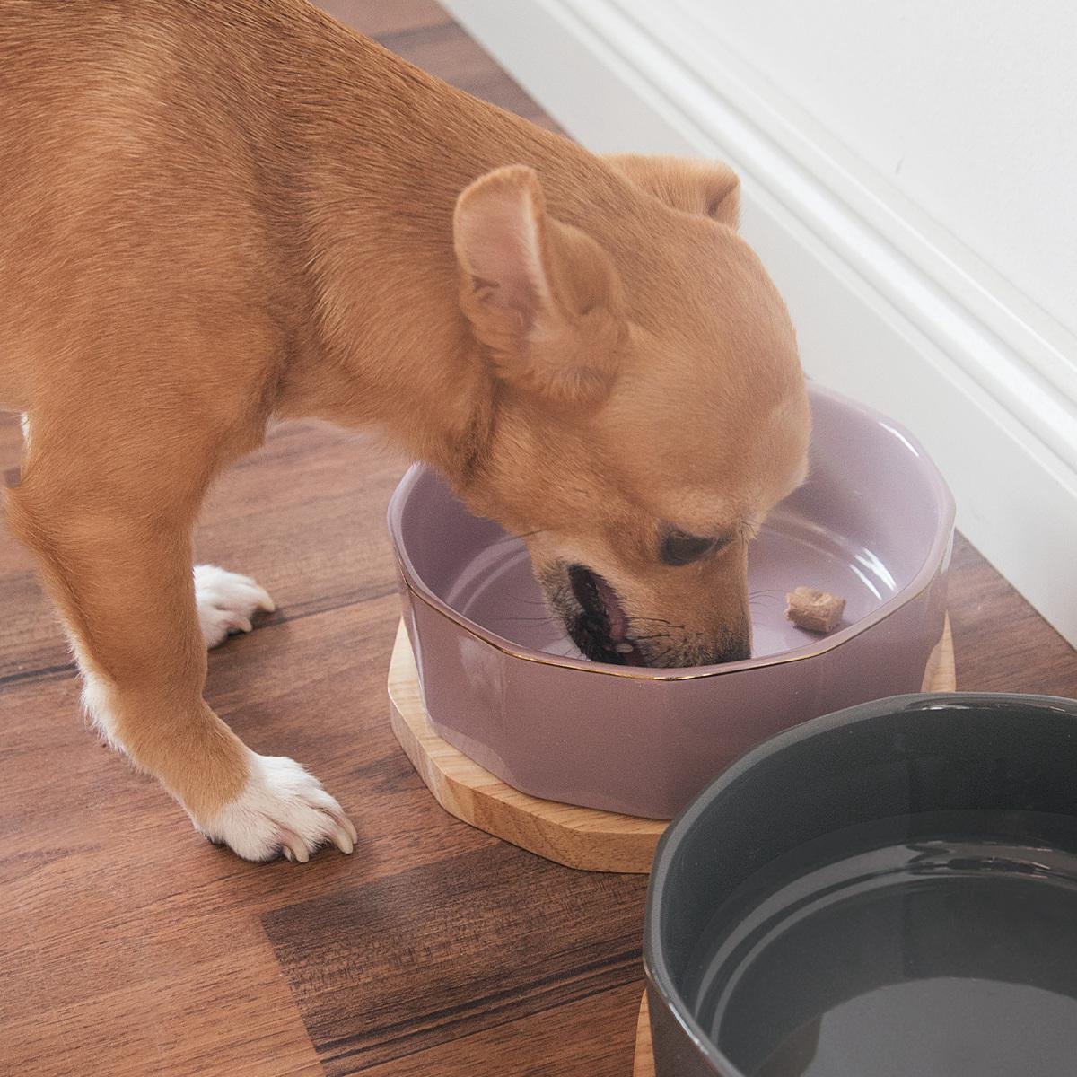 Navaris voerbak voor honden en katten - 800 ml - Set van 2 voer- en waterbakken - Etensbak van keramiek - Met houten onderzetter - Grijs/Petrol Navaris voerbak voor honden en katten - 800 ml - Set van 2 voer- en waterbakken - Etensbak van keramiek - Met houten onderzetter - Grijs/Petrol