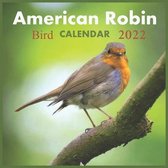 Bird Robin Calenda 2022