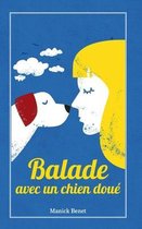 Balade avec un chien doue