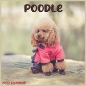 Poodle Calendar 2022