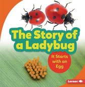 Step by Step-The Story of a Ladybug