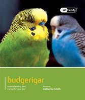 Budgeriegars - Pet Friendly